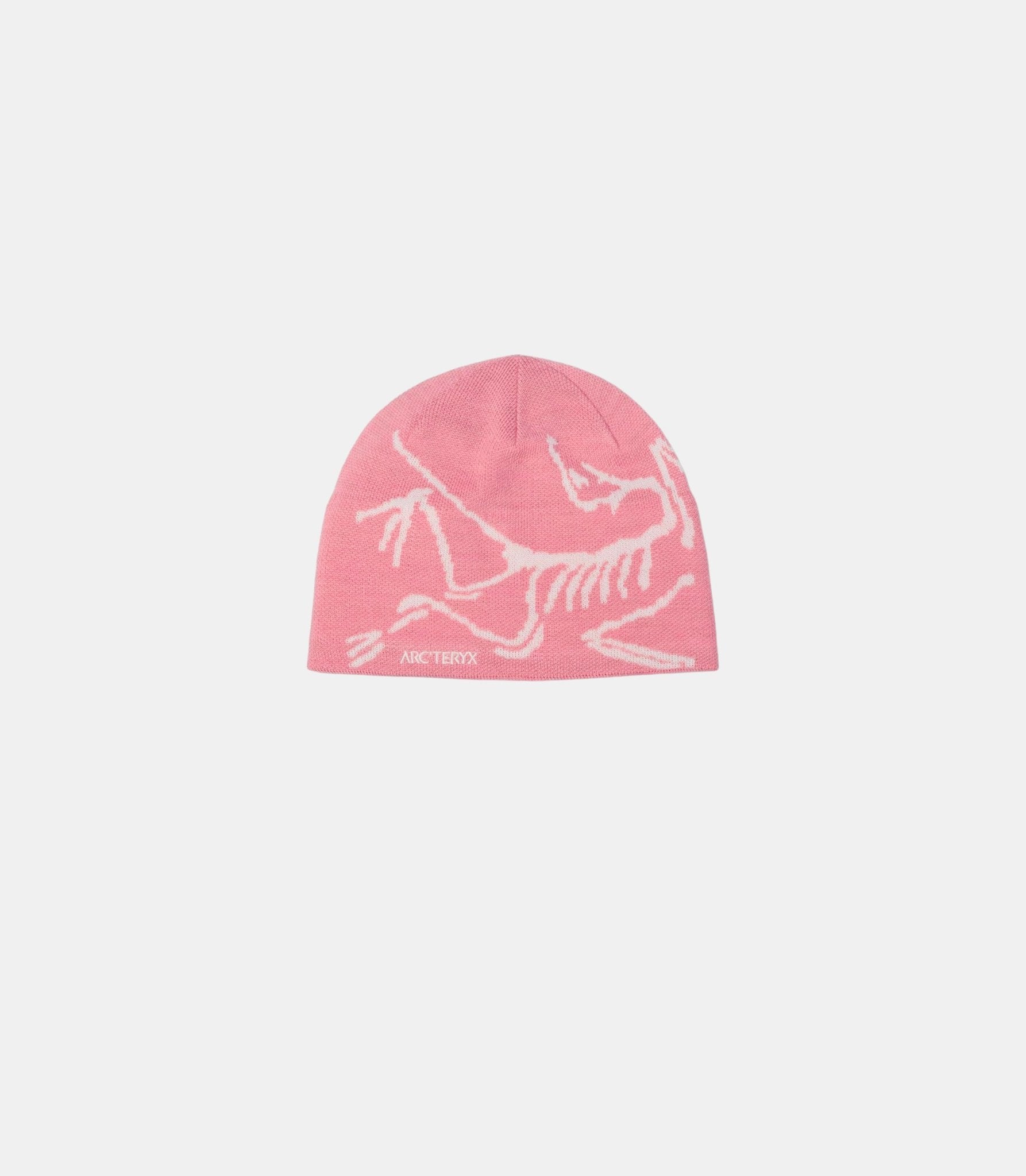 Bonnet bird head toque - X000006756 - BLISS - OS - Arc'teryx