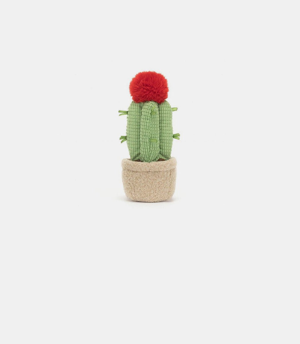 Cactus de lune amusantA6MCA - OSJellycat