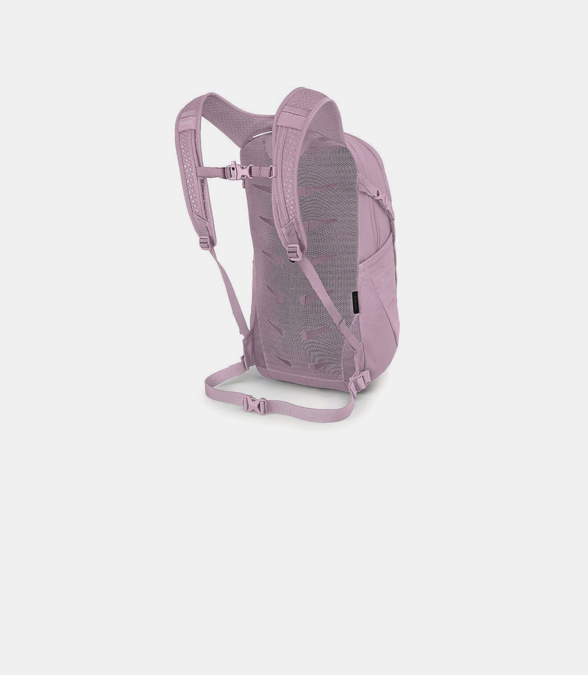 Daylite-10007136-OS-Osprey