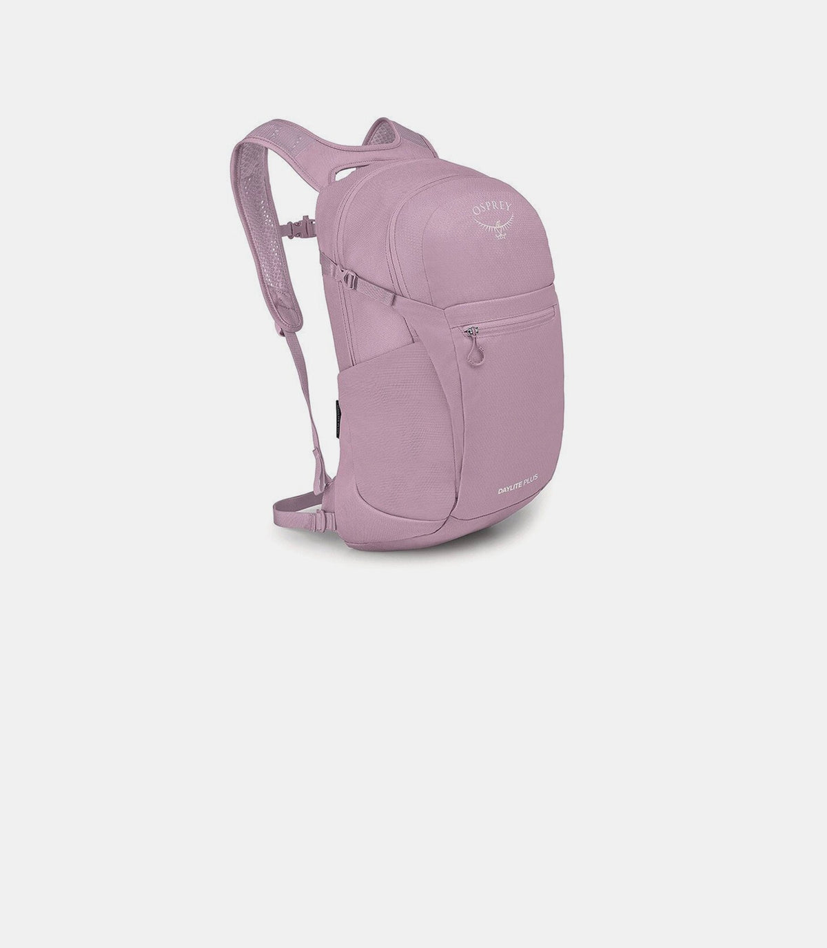 Daylite plus-10007231-OS-Osprey