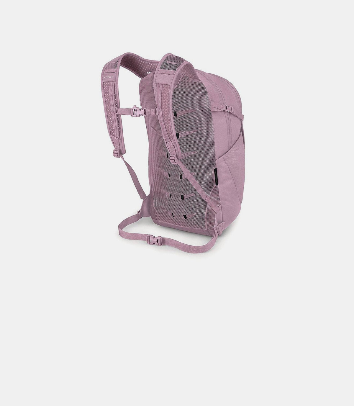 Daylite plus-10007231-OS-Osprey