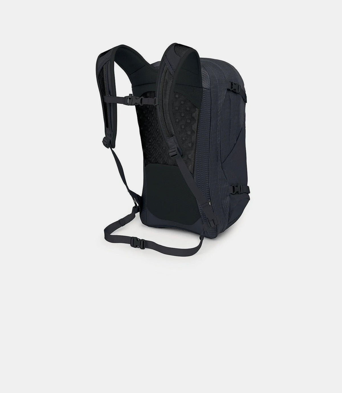 Nebula-10004589-OS-Osprey
