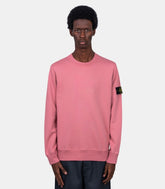 Sweatshirt organic cotton fleece - L1S156100060S0051-V008G-S - Stone island