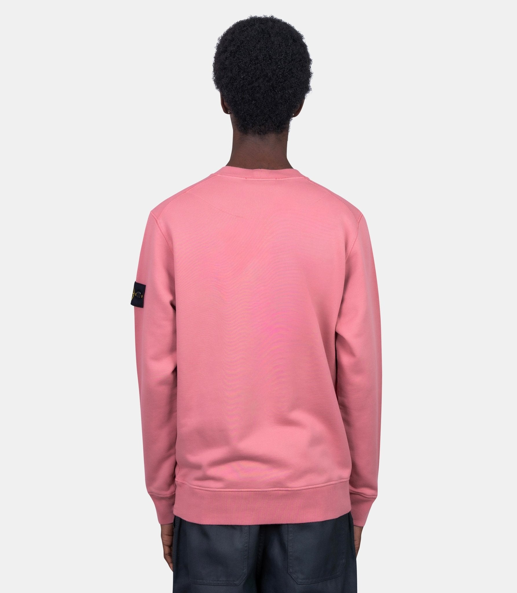Sweatshirt organic cotton fleece - L1S156100060S0051-V008G-S - Stone island