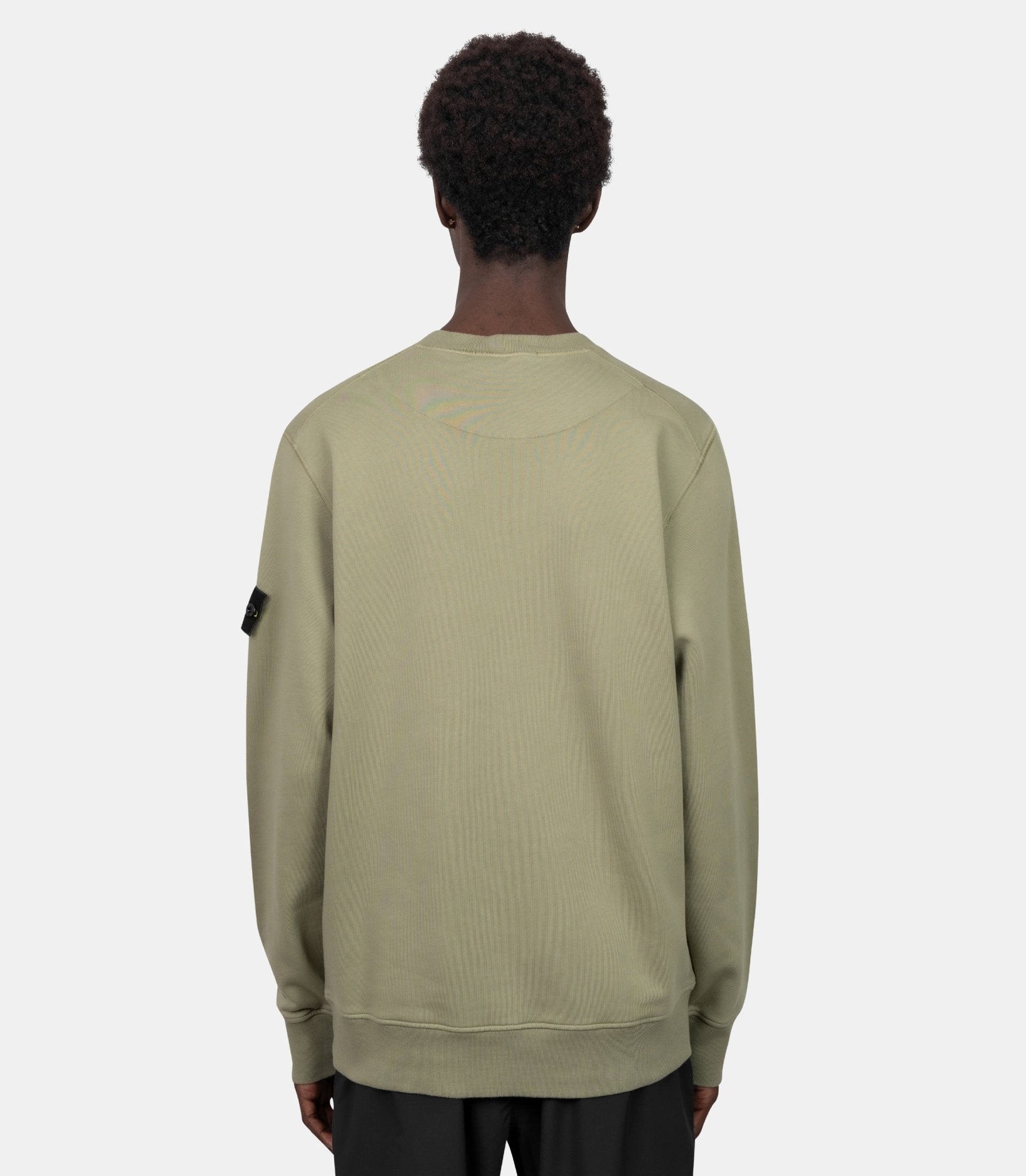 Sweatshirt organic cotton fleece-L2S156100060S0051-V005N-S-Stone island