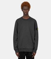 Sweatshirt organic cotton fleece-L2S156100060S0051-V0062-S-Stone island