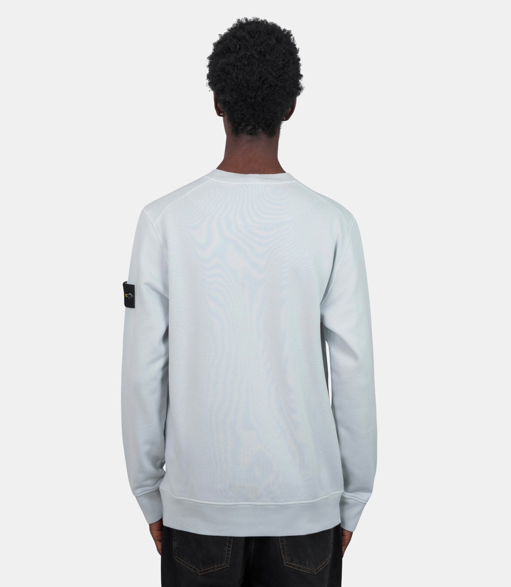 Sweatshirt organic cotton fleece - S156100060S0051-V0041-S - Stone island