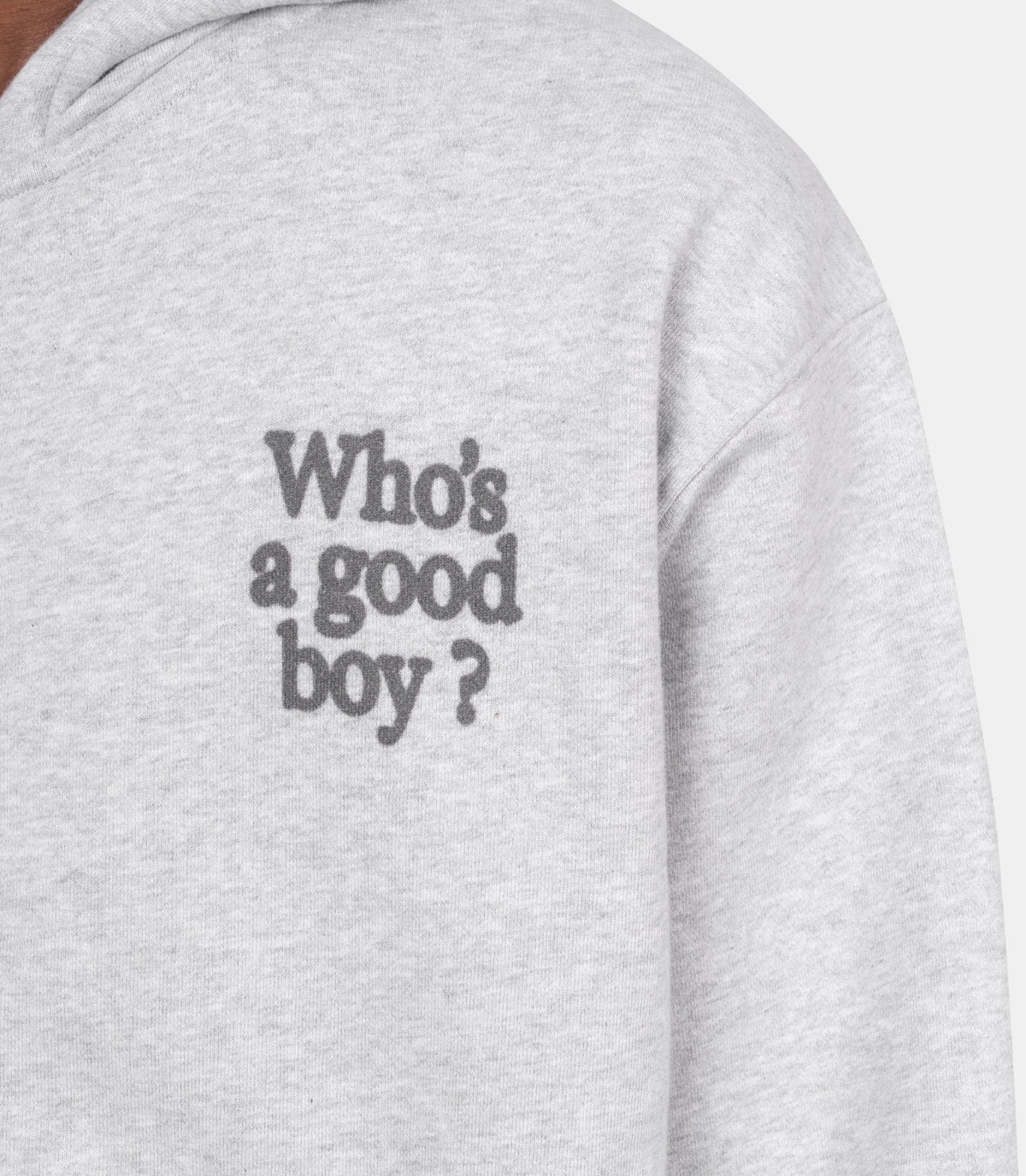 Sweatshirt who's a good boy?-AW26ZHC0101-melangegrey-M-Carne bollente