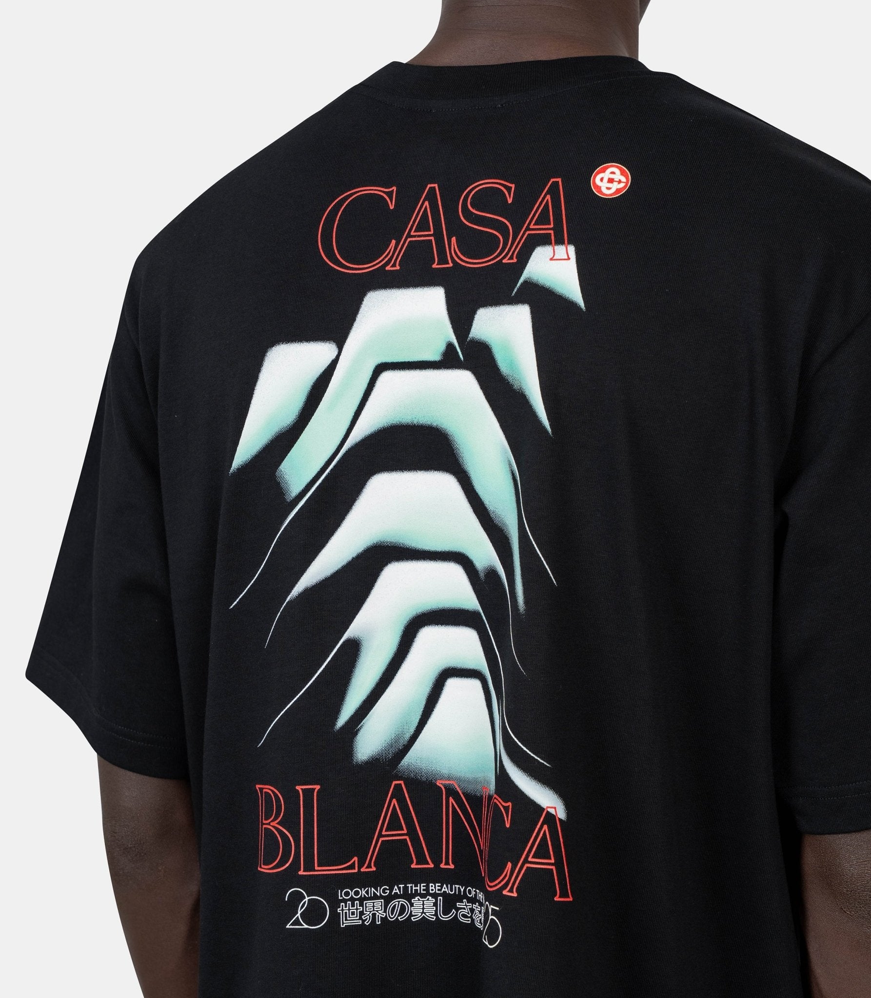T-shirt frosty mountain - MPF25 - JTS - 044 - 06 - S - Casablanca