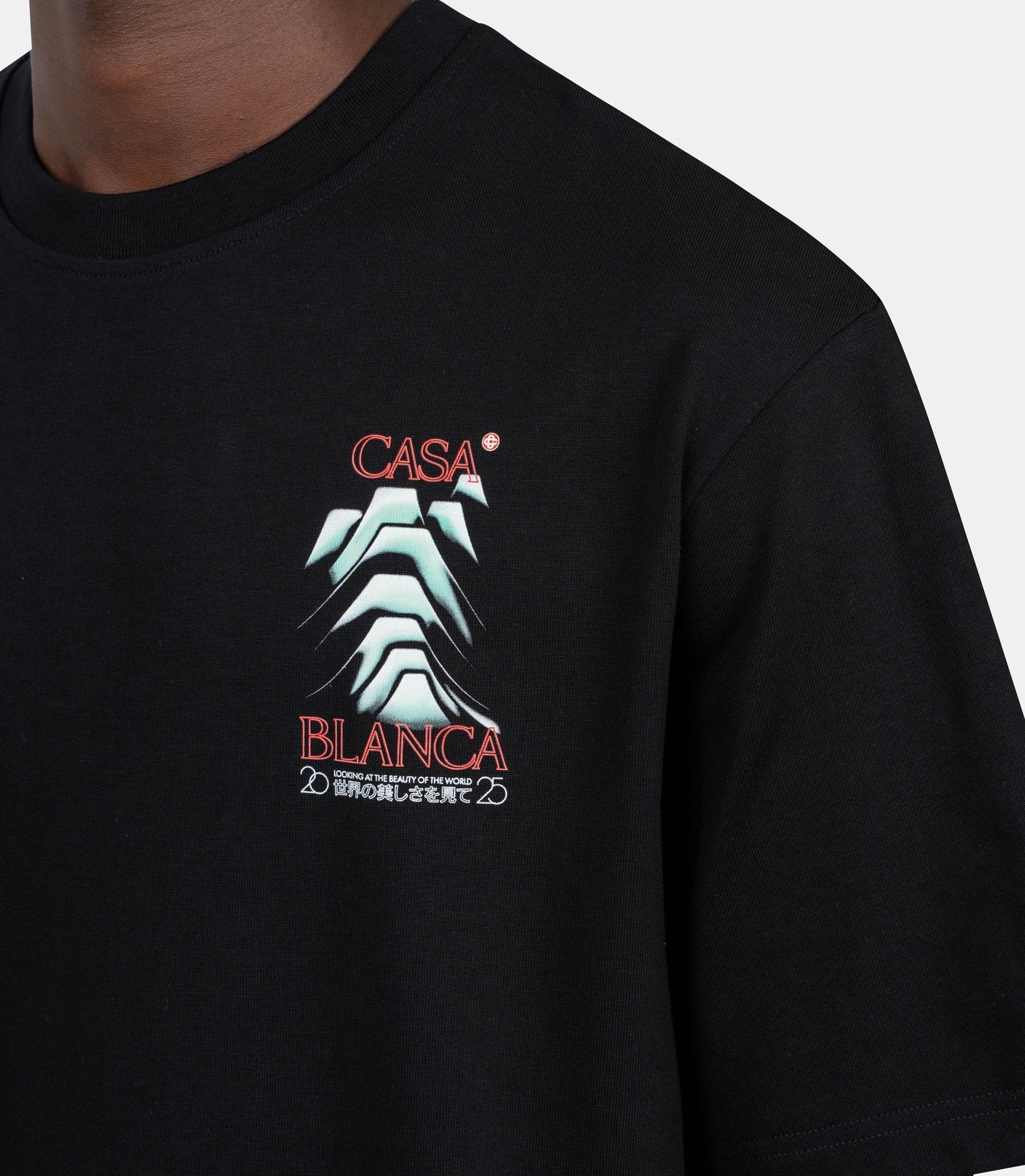 T-shirt frosty mountain - MPF25 - JTS - 044 - 06 - S - Casablanca