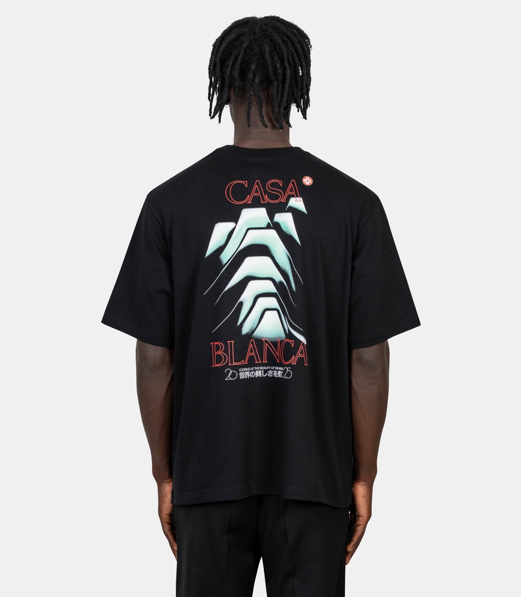 T-shirt frosty mountain - MPF25 - JTS - 044 - 06 - S - Casablanca