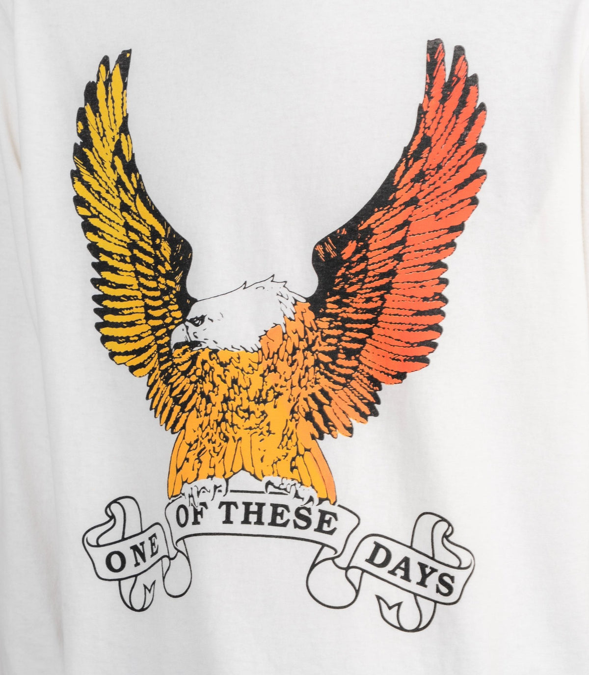 T-shirt manches longues an american original-02D-04-062-BONE-S-One of these days