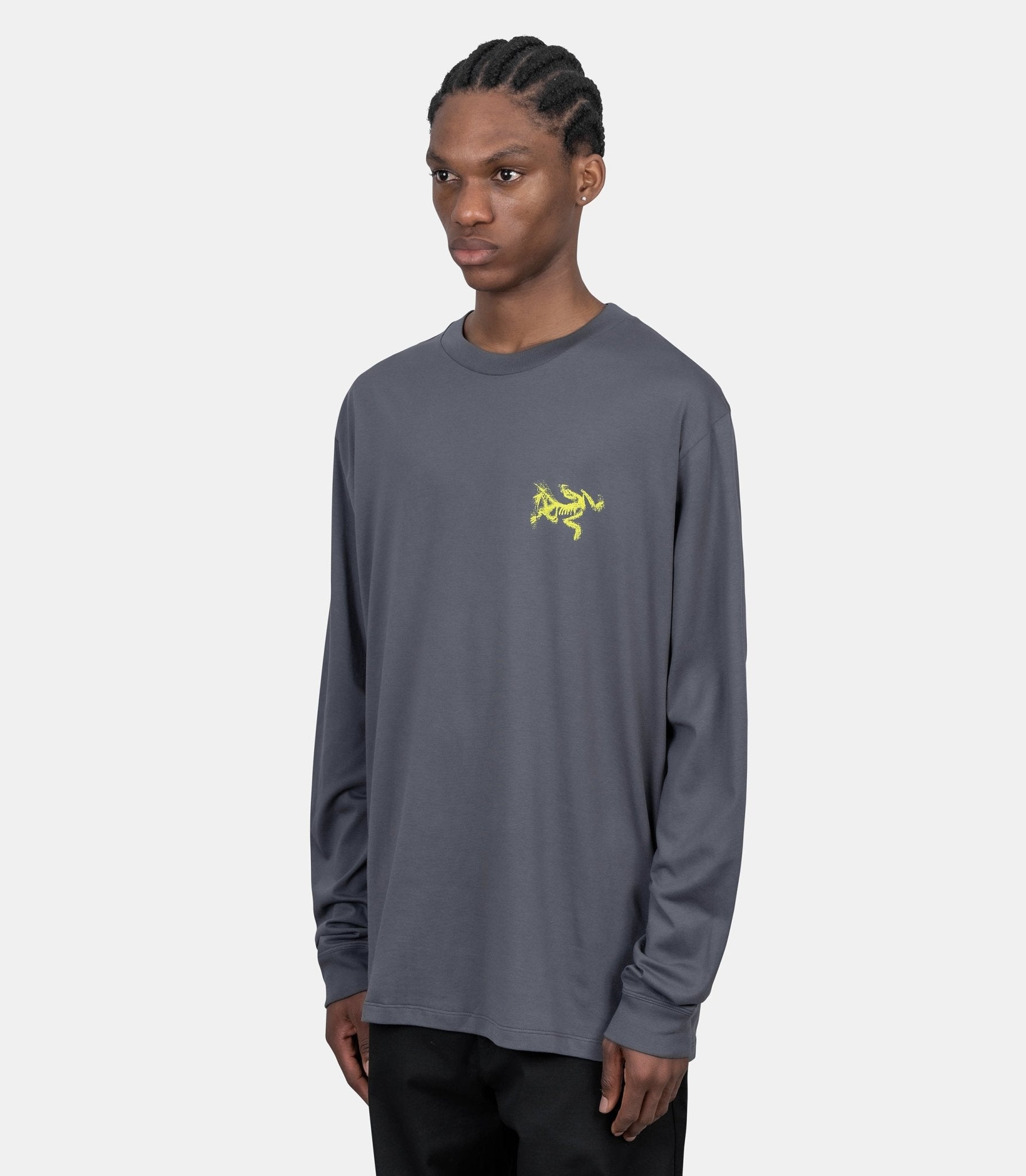 T-shirt manches longues kragg sl bird tile - X000009537-DK STRATUS/EUPHORIA-S - Arc'teryx