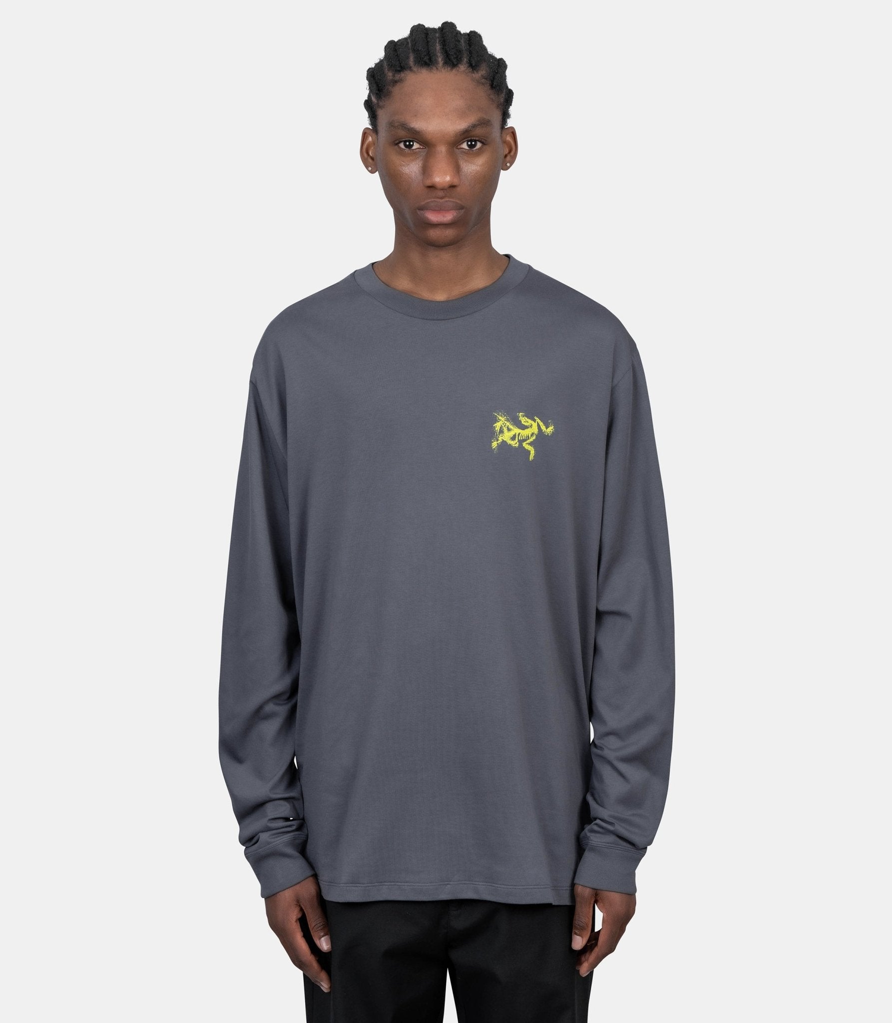 T-shirt manches longues kragg sl bird tile - X000009537-DK STRATUS/EUPHORIA-S - Arc'teryx