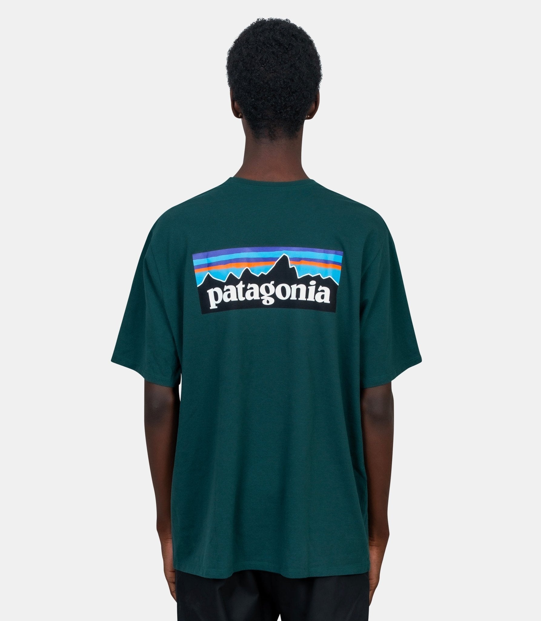 T-shirt P - 6 logo responsibili - 38504 - CASG - S - Patagonia