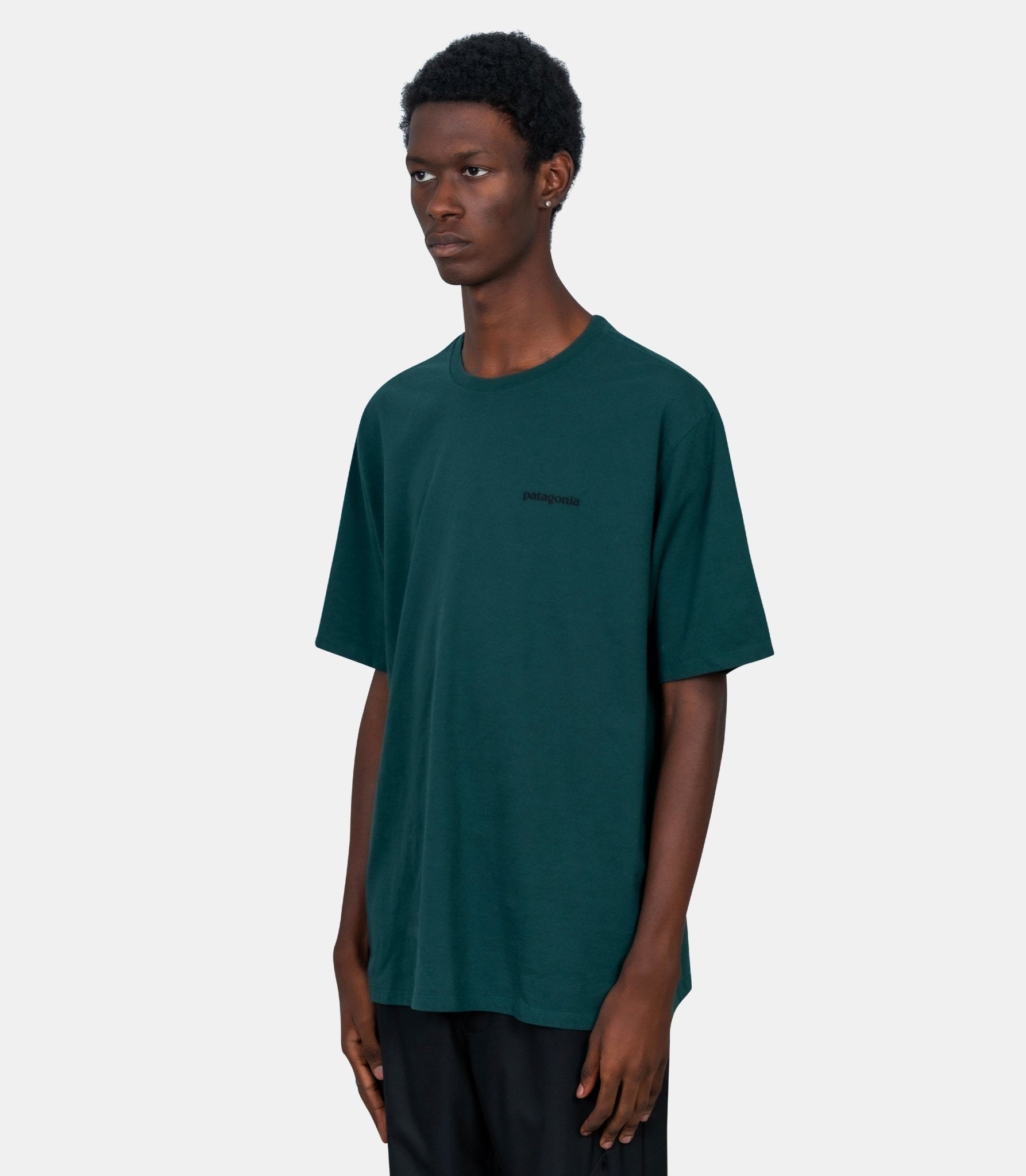 T-shirt P - 6 logo responsibili - 38504 - CASG - S - Patagonia