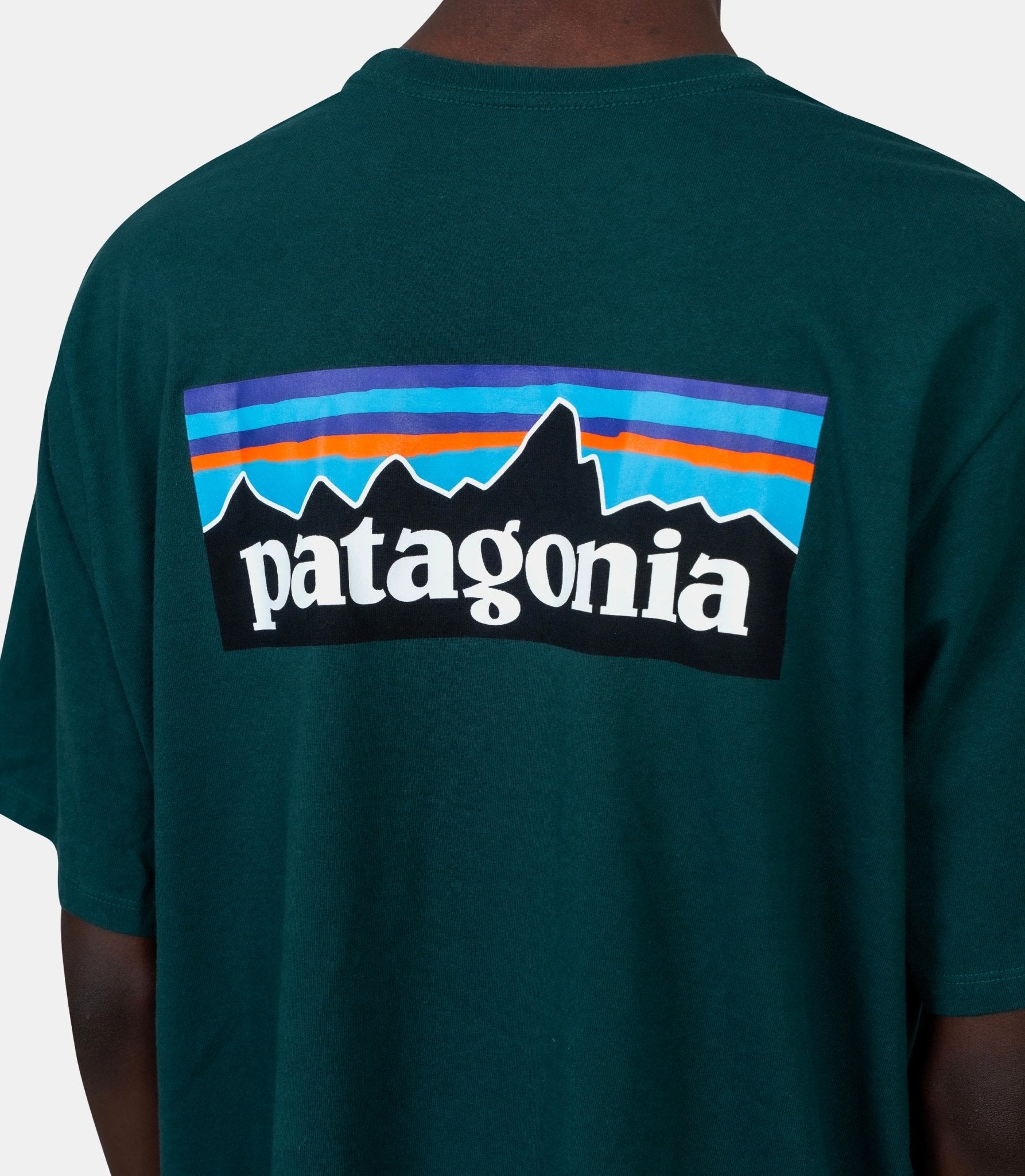 T-shirt P - 6 logo responsibili - 38504 - CASG - S - Patagonia