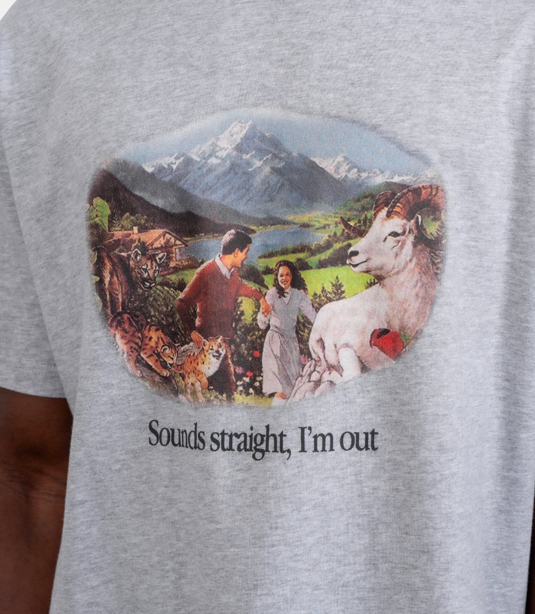 T-shirt sounds straight, I’m out - SS26ST0107-melange-grey-S - Carne bollente