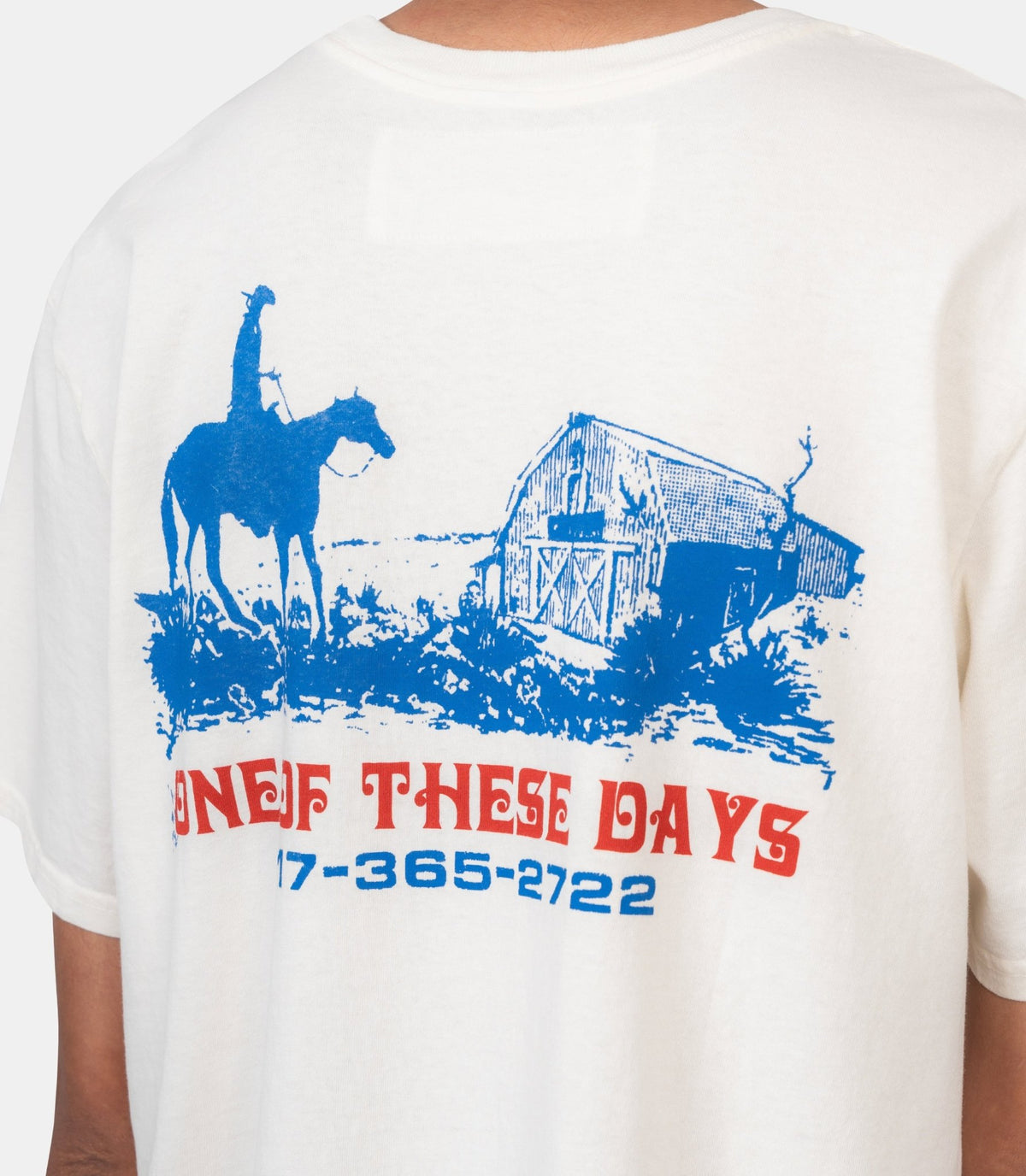T-shirt trail of dust-02D-04-074-BONE-S-One of these days