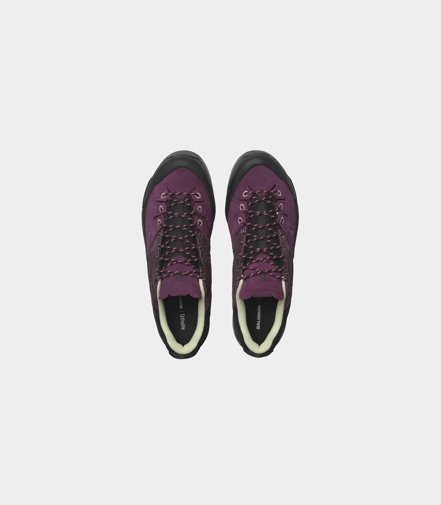 X - alp ltr - L47988900-WINTERBLOOM/PLUM/LIMEC-40 - Salomon